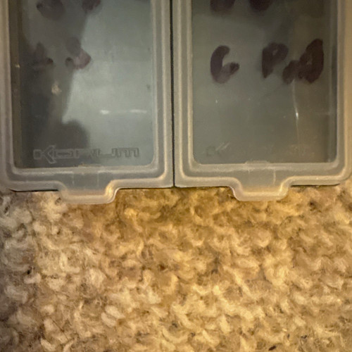 Plastic tackle box hard case - box,